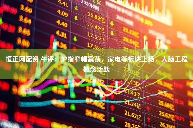 恒正网配资 午评：沪指窄幅震荡，家电等板块上扬，人脑工程概念活跃