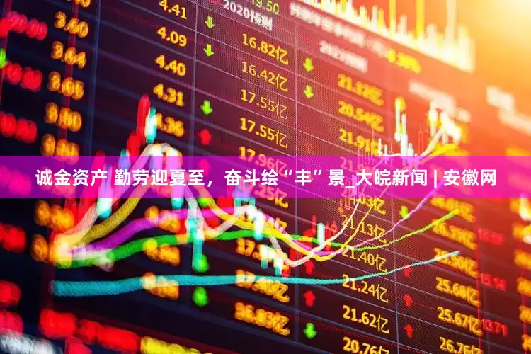 诚金资产 勤劳迎夏至，奋斗绘“丰”景_大皖新闻 | 安徽网