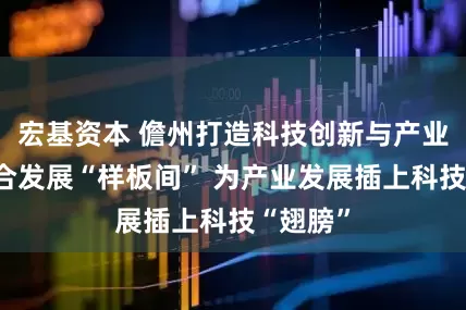 宏基资本 儋州打造科技创新与产业创新融合发展“样板间” 为产业发展插上科技“翅膀”
