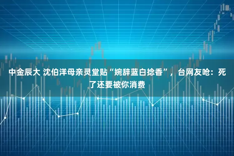 中金辰大 沈伯洋母亲灵堂贴“婉辞蓝白捻香”，台网友呛：死了还要被你消费